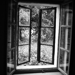 ...okno do přírody...