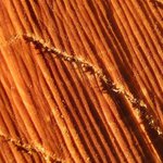 Oranžová je dobrá