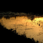 už zase skáču přes kaluže...