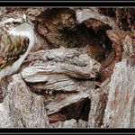 Ještě kousek a jsem doma