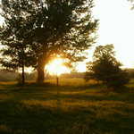 Západ slunce nad Šumavou