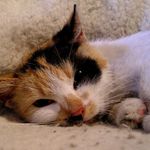 Ráda se takhle fotím