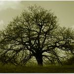 Strom jako koronovy vyboj