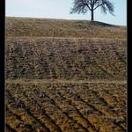 ,, S A M O T Á Ř,, první zkušební