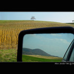 - P O H L E D Y - trochu jinak