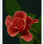 Korálky zdobená ...