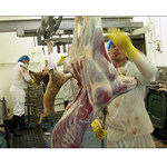 <b>Kangaroo Industry</b>