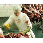 <b>Kangaroo Industry #2</b>