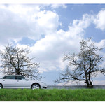 Audi in the Country
