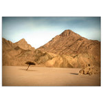 <b>:.ZE ZEMĚ FARAONŮ.: