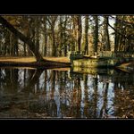 Zátiší slatiňanského parku