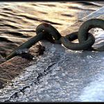 Z ledového království 3