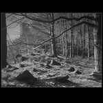 Cesta do minulosti..