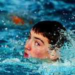 Zavodni plavec trenuje