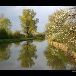 <b>jarní zrcadlení</b>