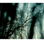 O touze malé mořské víly<p>