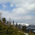 Ani zima ani jaro...