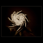 <u>***VRTULKA***</U><B>