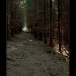 Desáté království