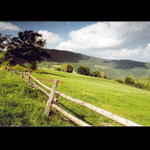 ..Šumavské pohlednice .. Okolo Srní II.