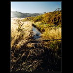 ..Šumavské pohlednice .. Ráno pod Kvildou