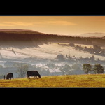 ..Šumavské pohlednice ..  Ráno nad Kvildou III.