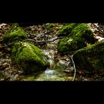 <B>.: potôčik :.</B>