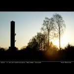 True Romance / Pravá romantika