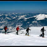 V řadě za sebou tři čuníci jdou...