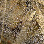 Perličkové nadělení