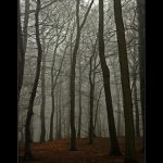 where do the bad folks go when they die