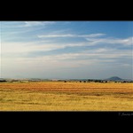 Letní večer u nás