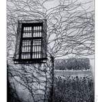 </b>okno ke klidu</b>(BW verze)