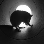 <b>V komatu...aneb "Proč mě nenechá jít?"