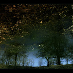 ...zrcadlení jarního dne...