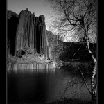 ..bw symfonie..