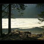 U JEZERA - Černé jezero, Šumava