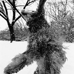 maddog: dogin\' the air