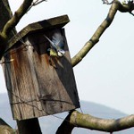 .............frrrrrr..............