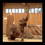 <B>PROČ MI TO DALI TAK VYSOKO?<br>