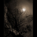 <b>...CESTA ZA DUHOU...<hR></b>(...dark side...)