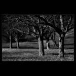 ČEKÁNÍ NA SVĚTLO...(...temná strana...)