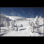 Tak trochu proti proudu...