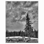 Cintorín mojich bratov....