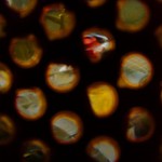 Fotomografie 9:07