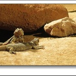 <b>Flintstones</b><br><i>ze série Prehistorik</i>