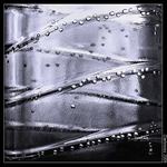 <b>* Z temnoty na světlo *</b><br>...... snaží se dostat cestou klikatou :-)