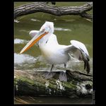 <b>* Podělaný život *</b>