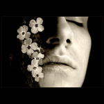 In the passion of spring