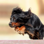 Skáču - letím.....